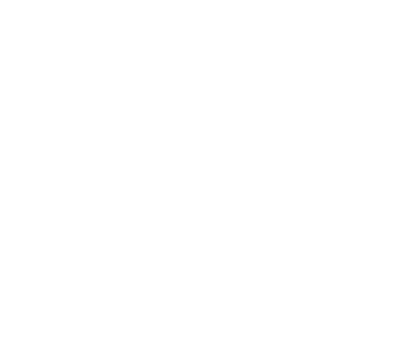 KART'N Curves Bad Rappenau